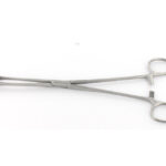 Roostevabast terasest FOERSTER TANGID - 20 cm