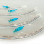 Intubatsioonitoru/endotrahheaalne toru mansetiga 8 mm/33 cm