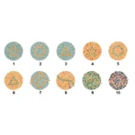 Värvitesti kaardid lastele - 10 kaarti